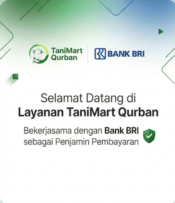 Iklan Promo